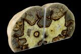 Calcite Filled Septarian Bookends - Utah #149915-3